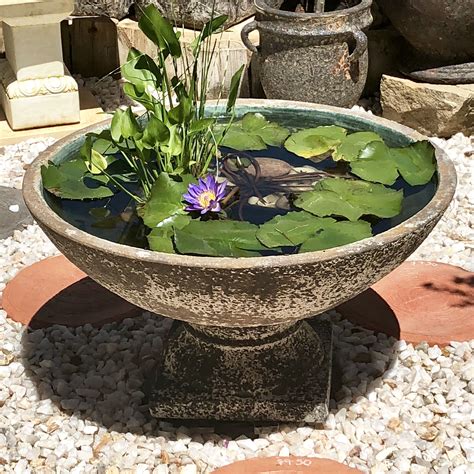 Watering bowl - Note: There are no early drop-offs or late pick-ups on weekends 